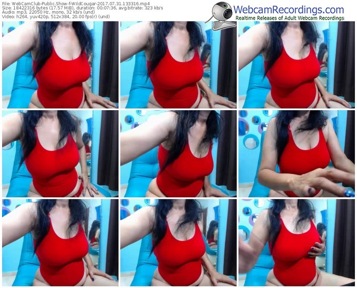 webcamclub-wildcougar-webcam-show-07_31_2017-13_33_16