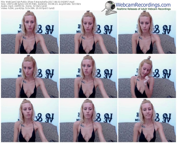 webcamclub-staceybella-webcam-show-08_02_2017-04_28_57