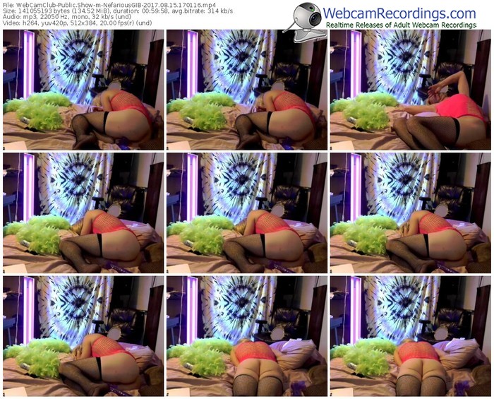 webcamclub-nefariousgib-webcam-show-08_15_2017-17_01_16