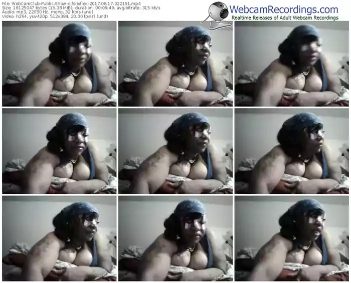 webcamclub-felixflex-webcam-show-08_17_2017-02_21_51