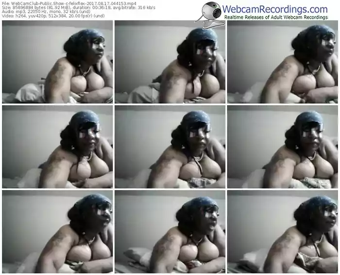 webcamclub-felixflex-webcam-show-08_17_2017-04_41_53