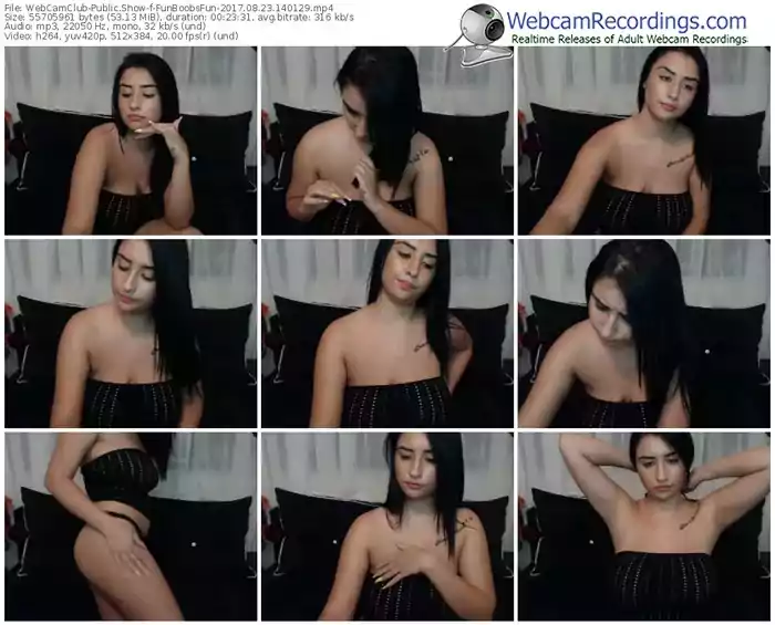 webcamclub-funboobsfun-webcam-show-08_23_2017-14_01_29