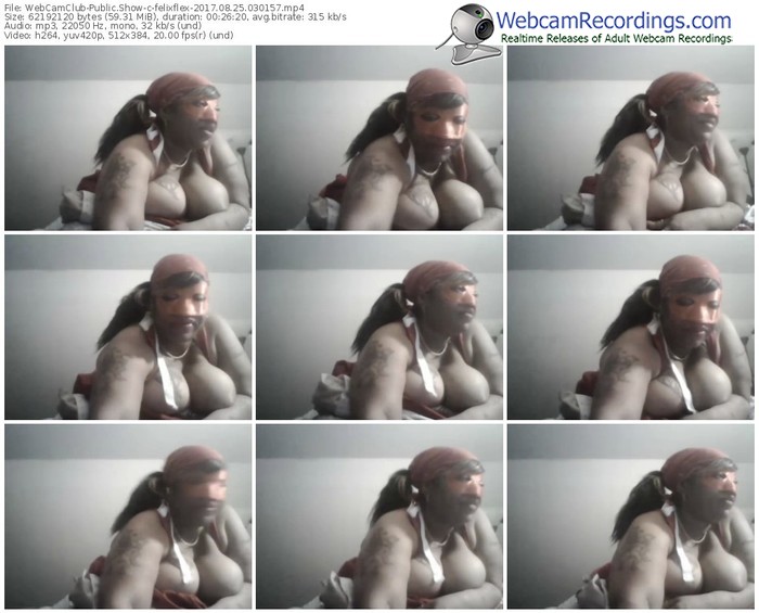 webcamclub-felixflex-webcam-show-08_25_2017-03_01_57