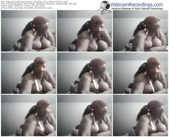 webcamclub-felixflex-webcam-show-08_25_2017-03_01_57