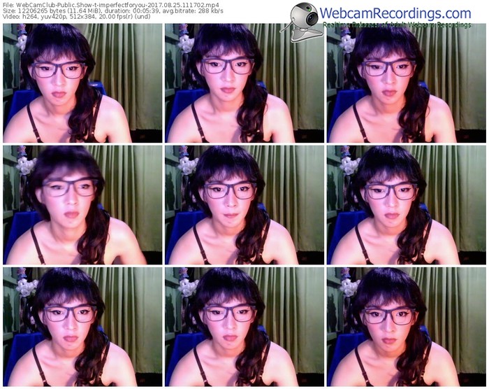 webcamclub-imperfectforyou-webcam-show-08_25_2017-11_17_02