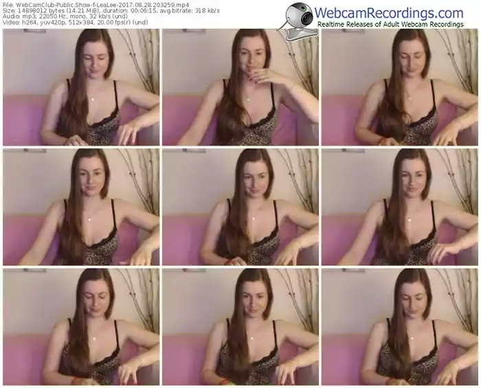 webcamclub-lealee-webcam-show-08_28_2017-20_32_59