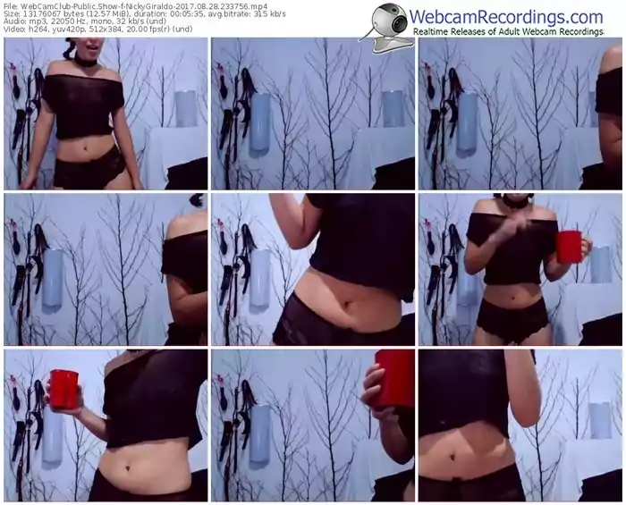 webcamclub-nickygiraldo-webcam-show-08_28_2017-23_37_56