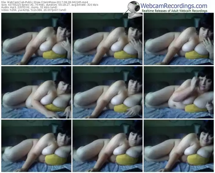 webcamclub-selinrose-webcam-show-08_28_2017-04_22_45
