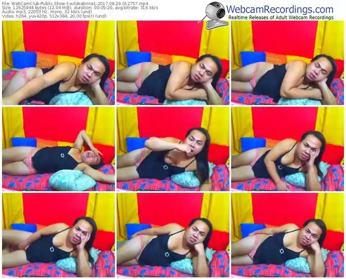 webcamclub-wildsabrina1-webcam-show-08_29_2017-01_27_57
