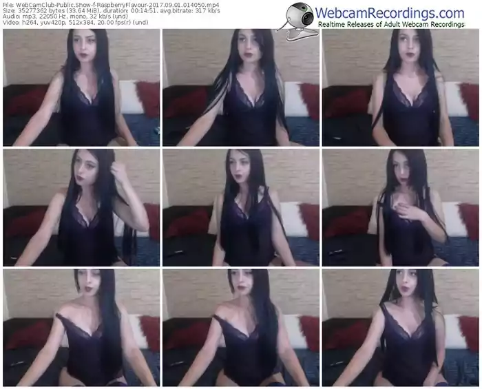 webcamclub-raspberryflavour-webcam-show-09_01_2017-01_40_50