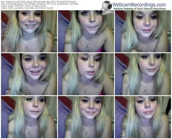 webcamclub-brooklynbridge-webcam-show-09_28_2017-05_37_49