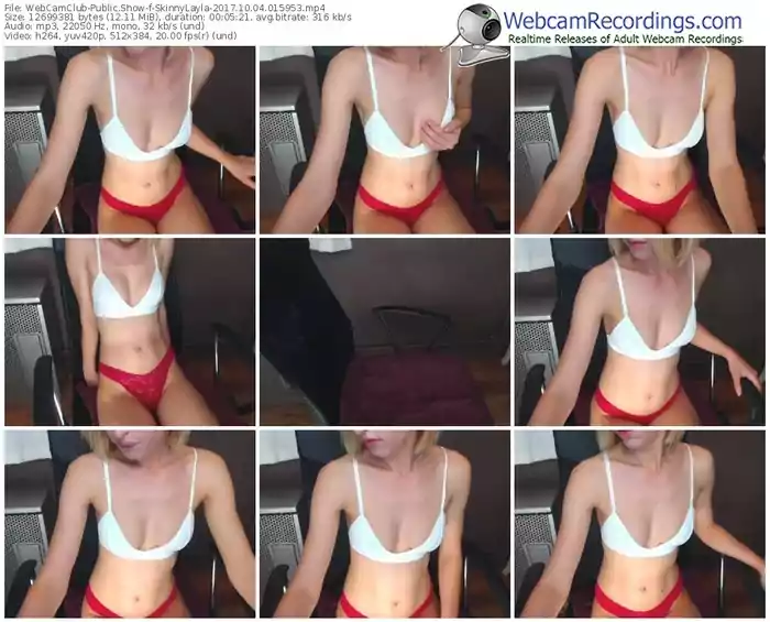 webcamclub-skinnylayla-webcam-show-10_04_2017-01_59_53