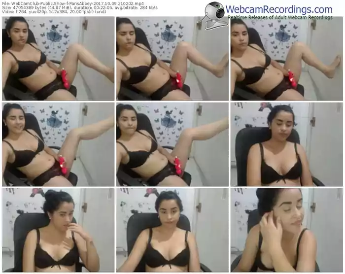 webcamclub-parisabbey-webcam-show-10_09_2017-21_02_02