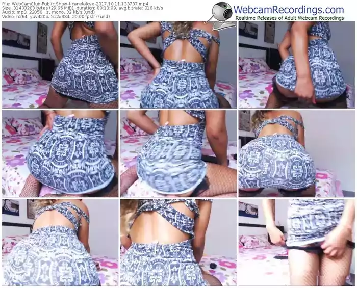 webcamclub-canelalove-webcam-show-10_11_2017-13_37_37