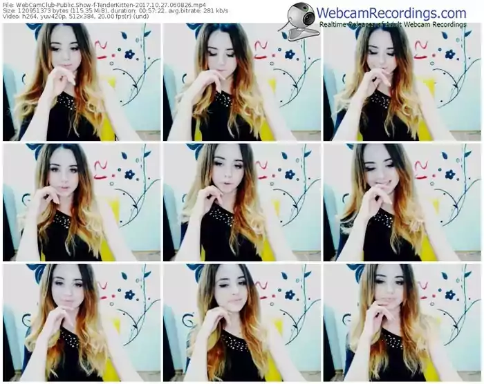 webcamclub-tenderkitten-webcam-show-10_27_2017-06_08_26
