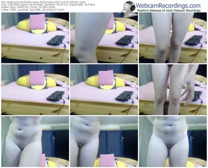 webcamclub-toryhump-webcam-show-10_29_2017-08_14_11