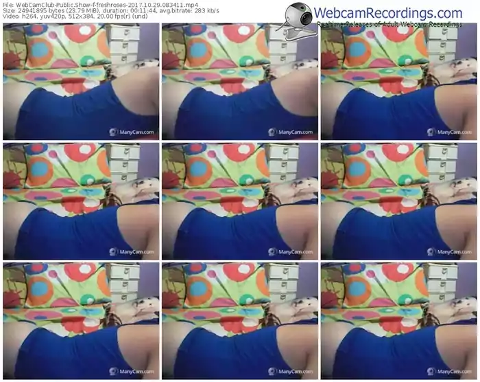 webcamclub-freshroses-webcam-show-10_29_2017-08_34_11