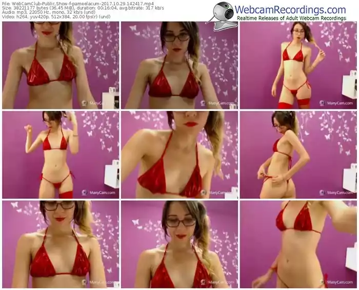 webcamclub-pameelacum-webcam-show-10_29_2017-14_24_17