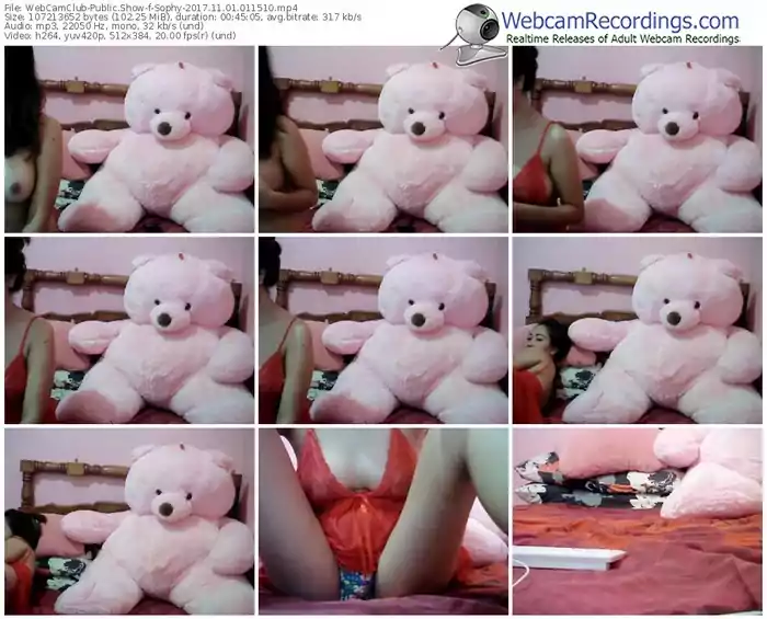 webcamclub-sophy-webcam-show-11_01_2017-01_15_10