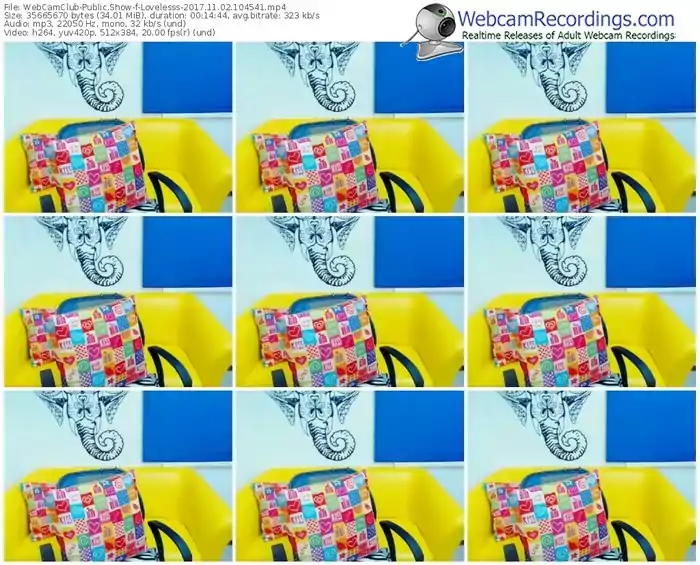 webcamclub-lovelesss-webcam-show-11_02_2017-10_45_41