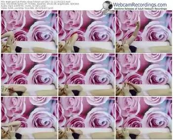 webcamclub-nissicool-webcam-show-11_12_2017-05_12_11