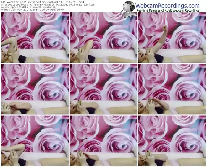webcamclub-nissicool-webcam-show-11_12_2017-05_12_11