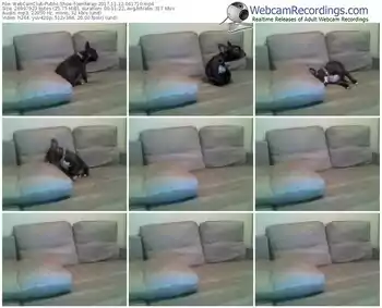 webcamclub-jeniferay-webcam-show-11_12_2017-04_17_10