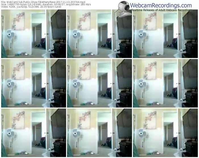 webcamclub-bethanyrose-webcam-show-11_13_2017-20_37_44