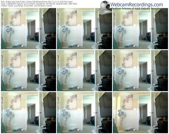 webcamclub-bethanyrose-webcam-show-11_13_2017-20_47_46