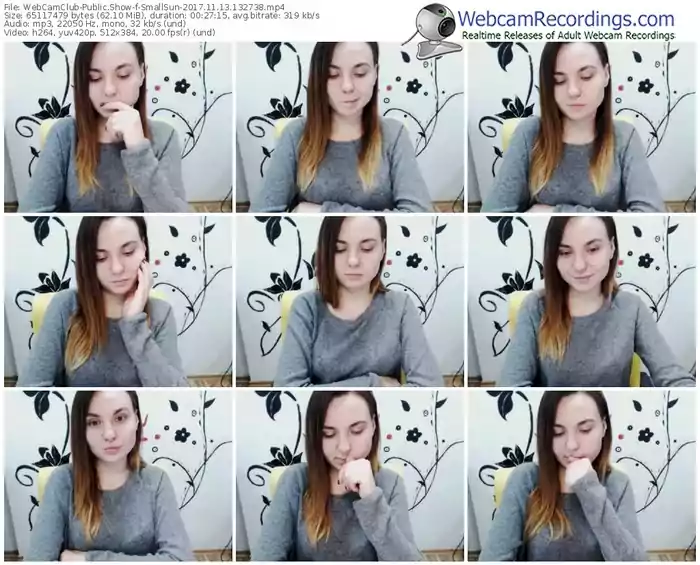 webcamclub-smallsun-webcam-show-11_13_2017-13_27_38