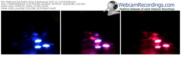 webcamclub-dreampuss-webcam-show-11_13_2017-03_02_28
