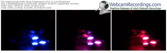webcamclub-dreampuss-webcam-show-11_13_2017-03_02_28