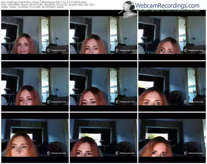 webcamclub-dreampuss-webcam-show-11_13_2017-15_32_40