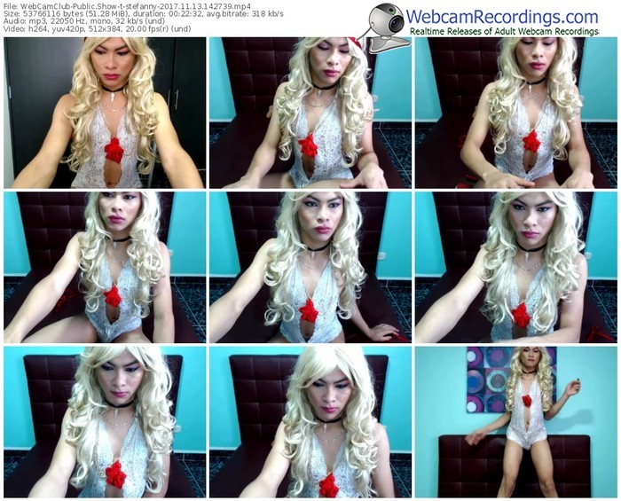 webcamclub-stefanny-webcam-show-11_13_2017-14_27_39