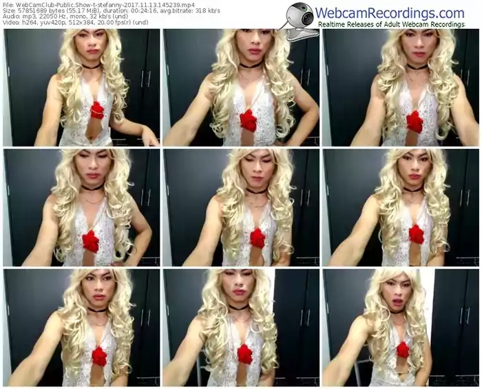 webcamclub-stefanny-webcam-show-11_13_2017-14_52_39