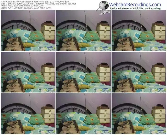 webcamclub-freshroses-webcam-show-11_17_2017-04_28_05