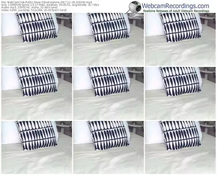 webcamclub-exoticjanine-webcam-show-11_18_2017-20_33_42