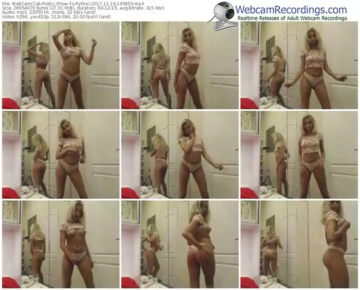 webcamclub-lillyfinn-webcam-show-11_19_2017-14_58_59