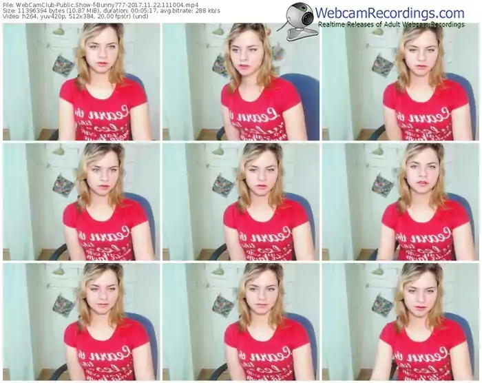 webcamclub-bunny777-webcam-show-11_22_2017-11_10_04