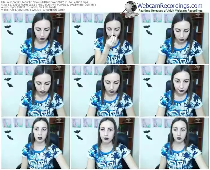 webcamclub-littleflower-webcam-show-11_24_2017-14_20_53