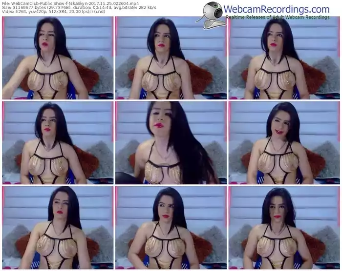 webcamclub-nikaskyn-webcam-show-11_25_2017-02_26_04