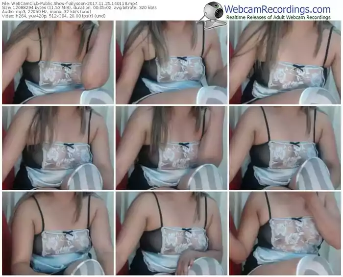 webcamclub-allysoon-webcam-show-11_25_2017-14_01_18