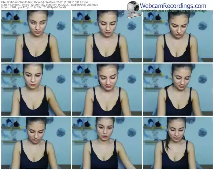 webcamclub-apleepiee-webcam-show-11_28_2017-11_53_12