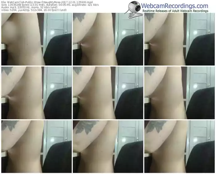 webcamclub-naughtyrose-webcam-show-12_01_2017-12_59_00