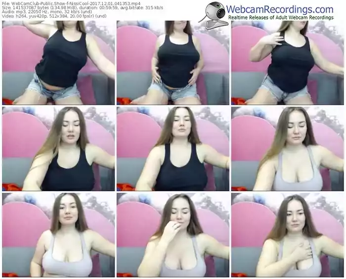 webcamclub-nissicool-webcam-show-12_01_2017-04_13_53