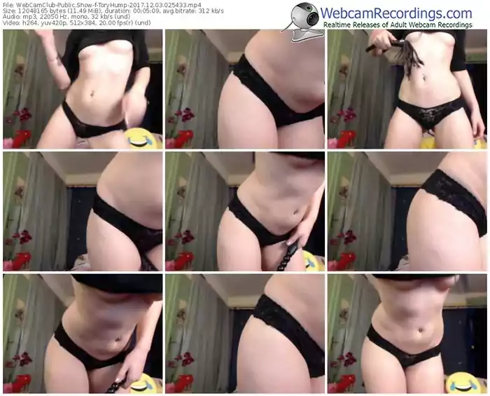 webcamclub-toryhump-webcam-show-12_03_2017-02_54_33