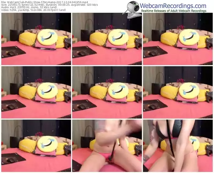 webcamclub-toryhump-webcam-show-12_04_2017-04_19_56