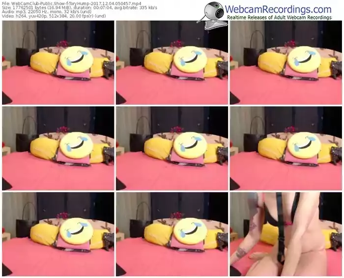 webcamclub-toryhump-webcam-show-12_04_2017-05_04_57