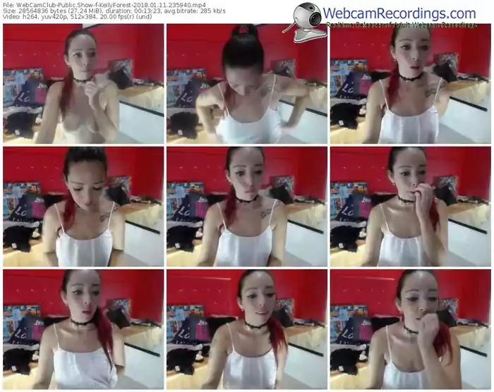 webcamclub-keilyforest-webcam-show-01_11_2018-23_59_40