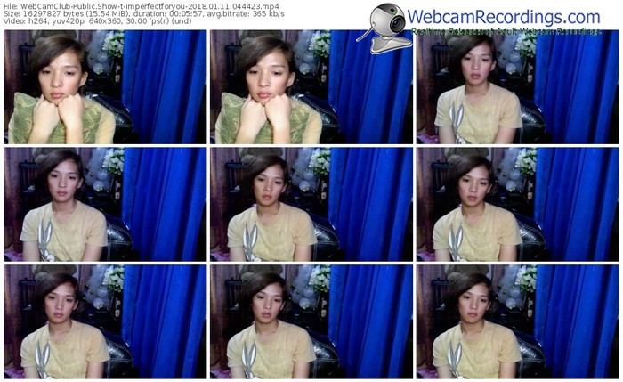 webcamclub-imperfectforyou-webcam-show-01_11_2018-04_44_23